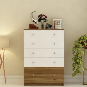 Wooden Chests Storage Cabinet Orgaanizer with Sleek Premium Finish & Modern Simplicity