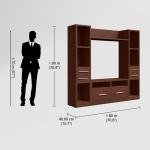 Chamber TV Unit
