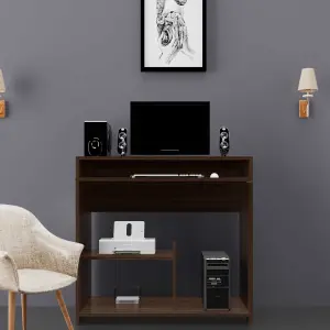 WS Computer Table in  Walnut Finish